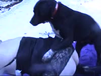 Black dog licks the ass of slut before dog anal sex
